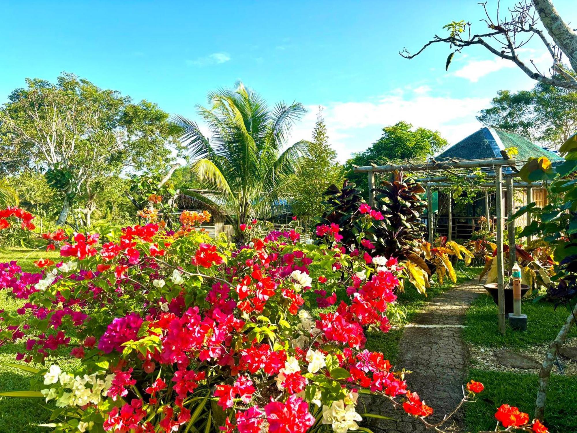 فندق Camelo Farm Bilar المظهر الخارجي الصورة