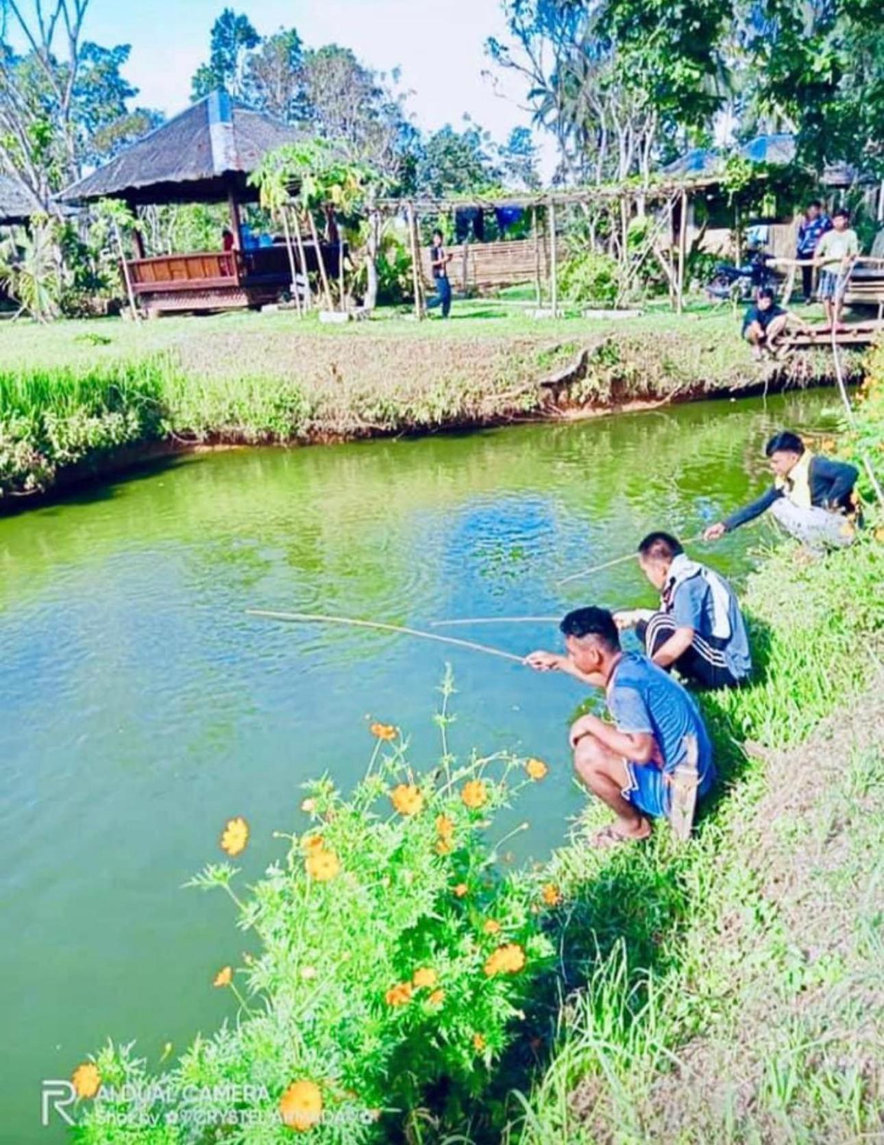 فندق Camelo Farm Bilar المظهر الخارجي الصورة