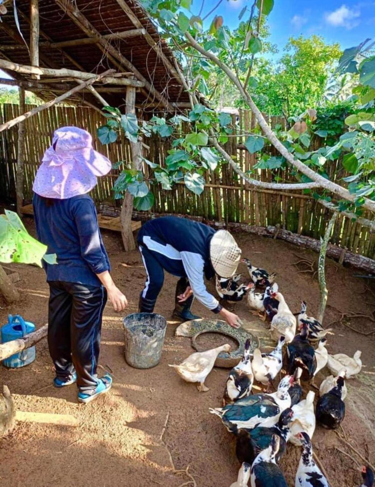 فندق Camelo Farm Bilar المظهر الخارجي الصورة